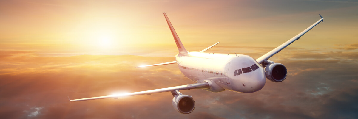 angielski dla turystów/niemiecki dla turystów - Śrem, Dolsk, Książ Wlkp